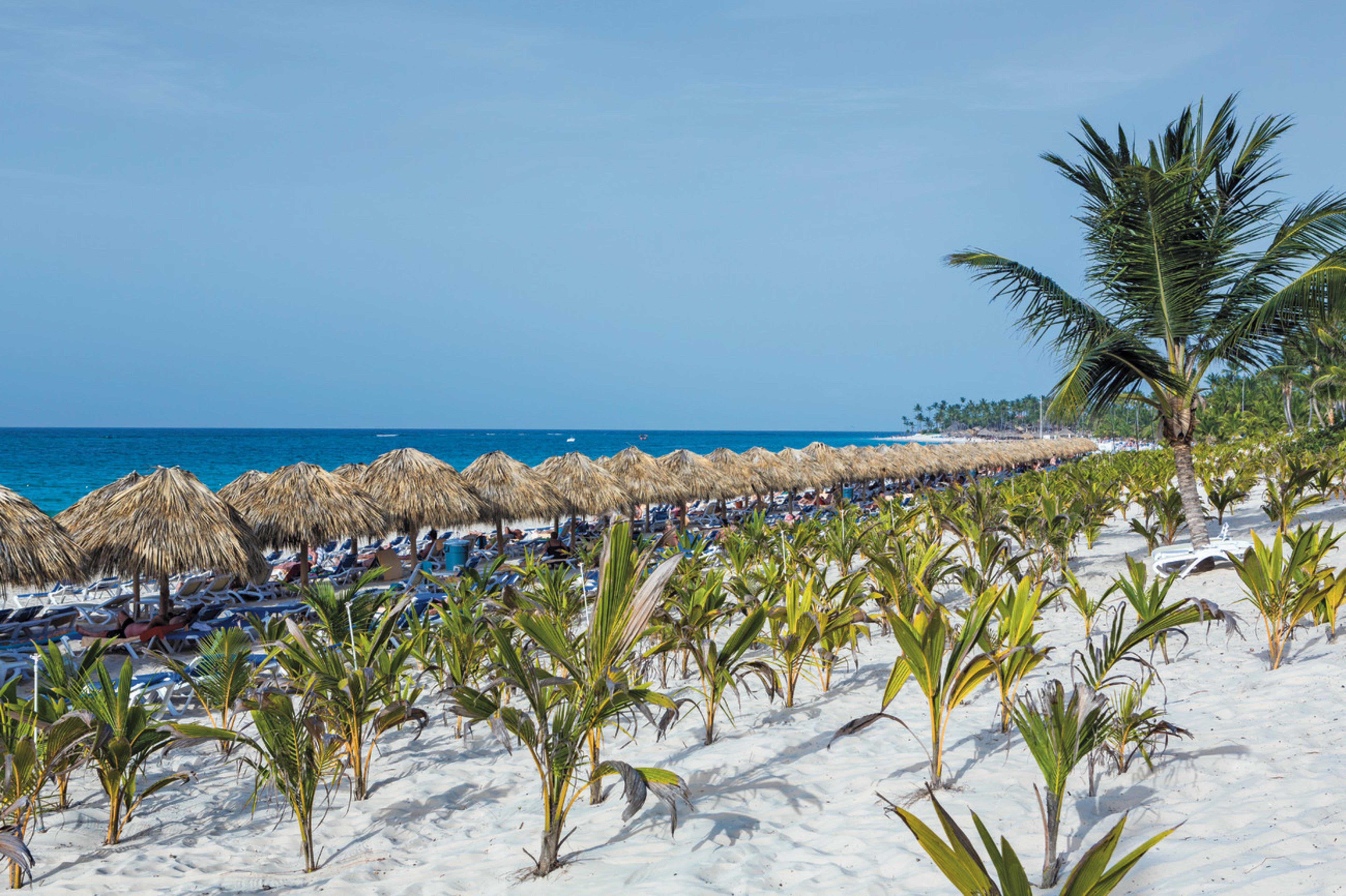 Hotel Riu Republica (Adults Only) Punta Cana Esterno foto